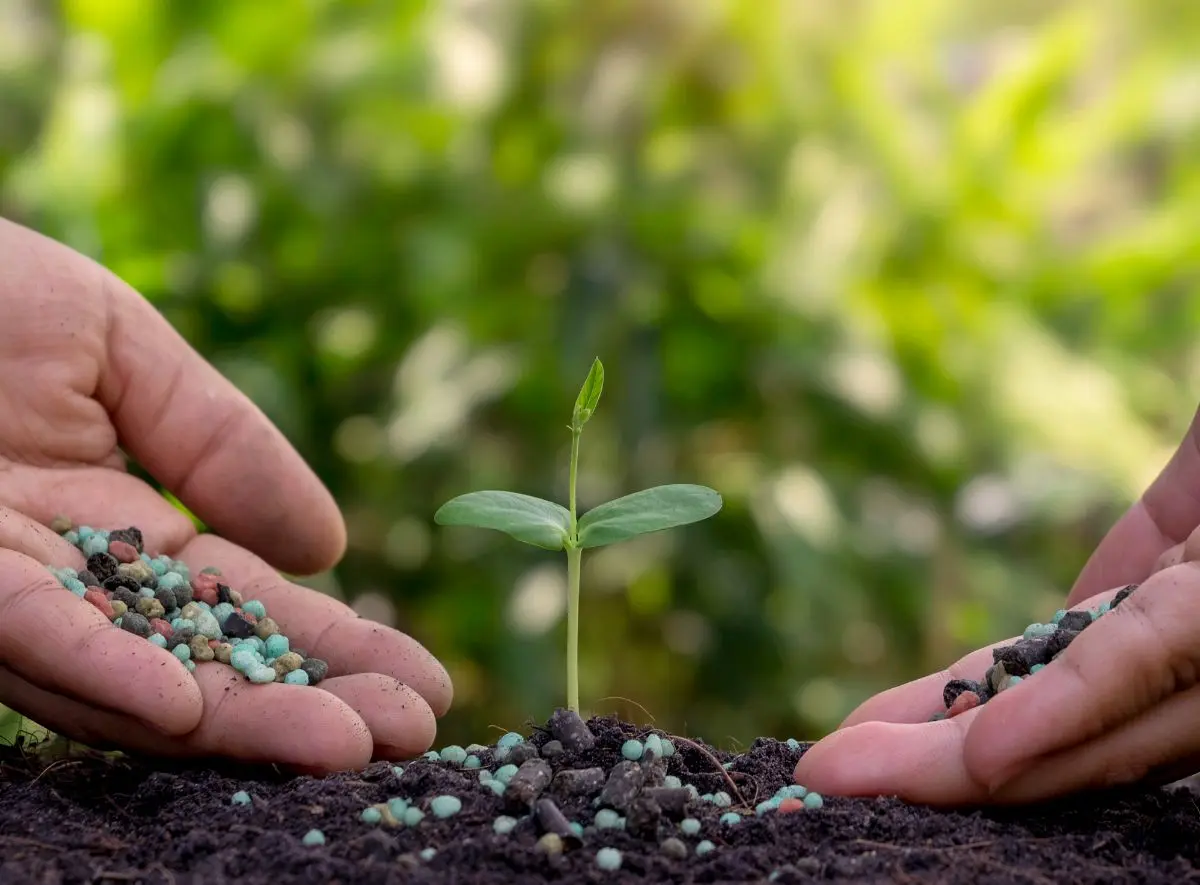 Recent Developments.jpg